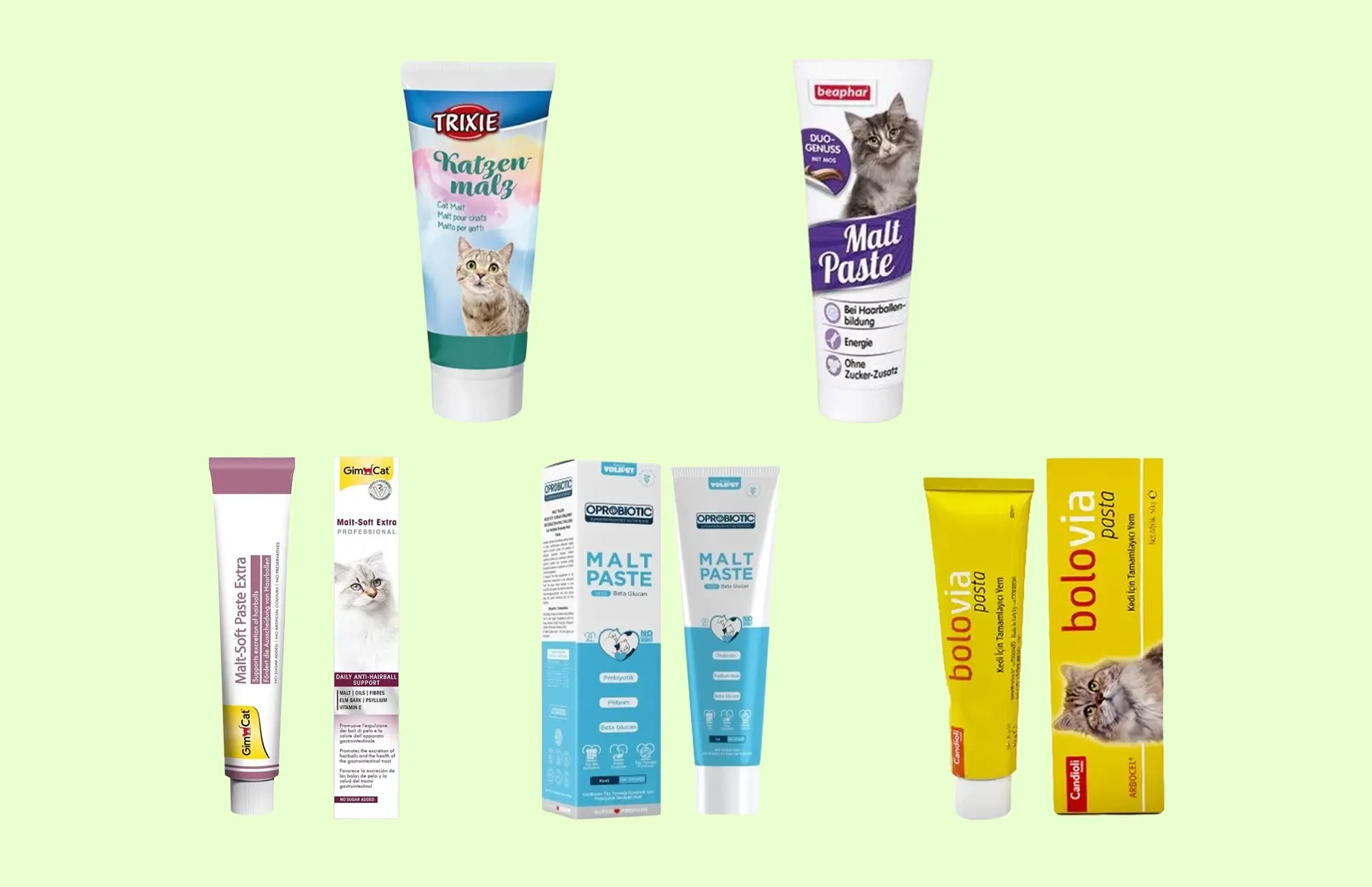 En İyi Kedi Maltı Markaları
