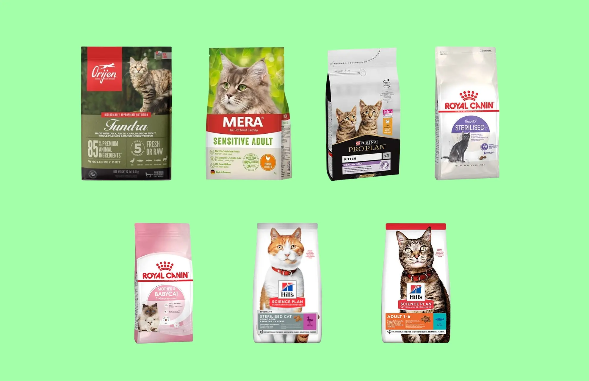 En İyi Kedi Mamaları Listesi 2025