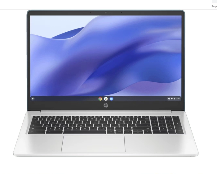 HP (Pavilion ve Chromebook Serileri)