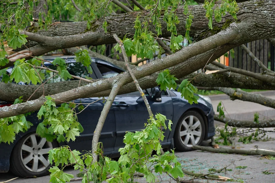 地震如果發生在大台北地區,為什麼造成的傷害會更大?