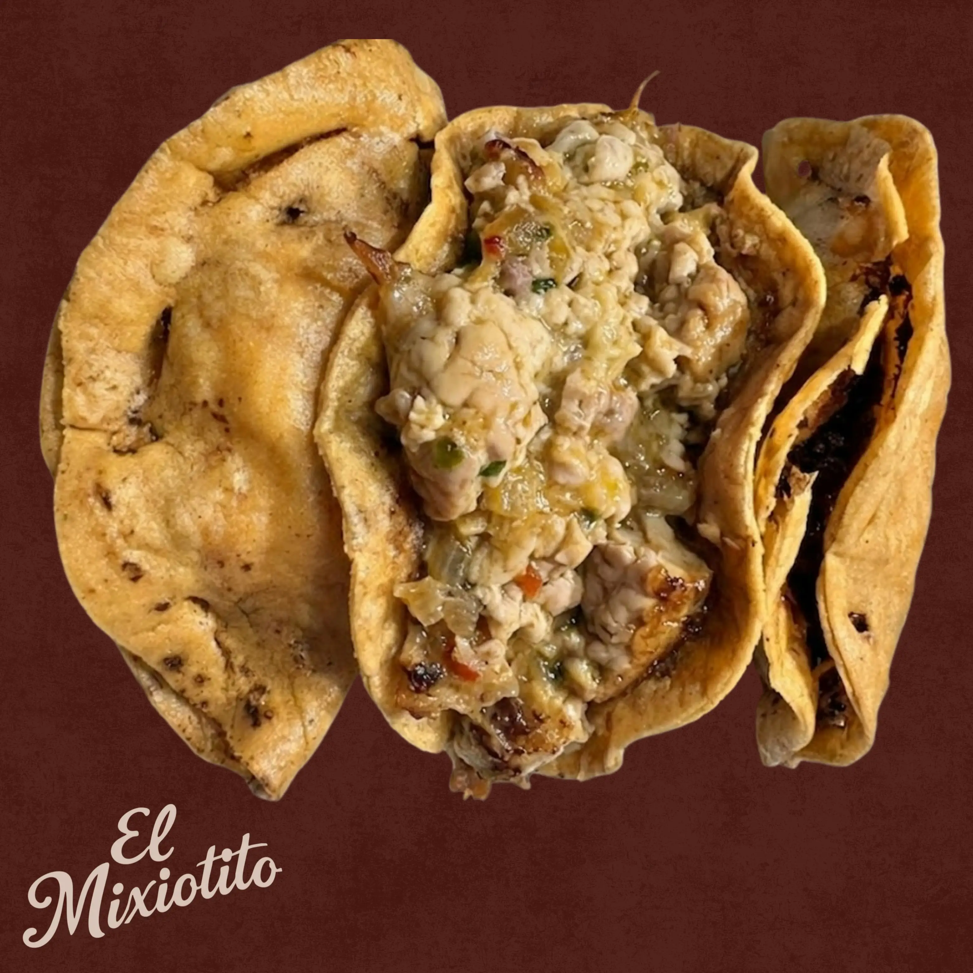 Quesadilla de Sesos