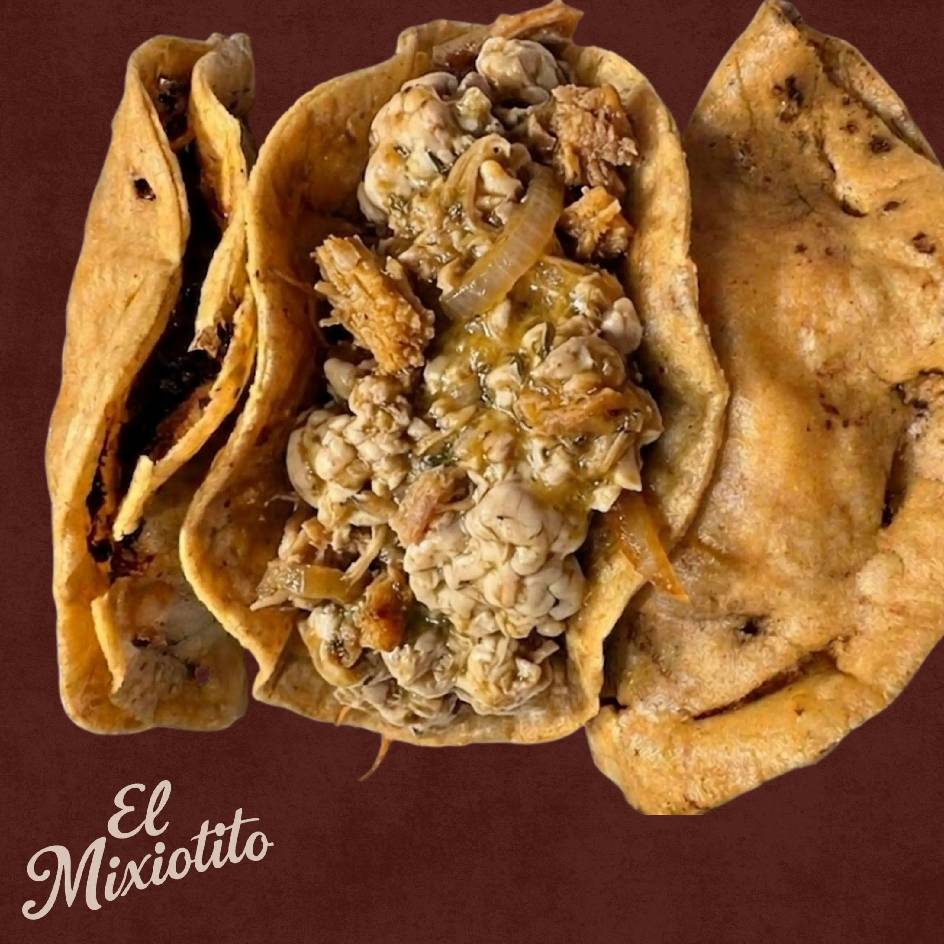 Quesadilla de Sesos con Carnitas