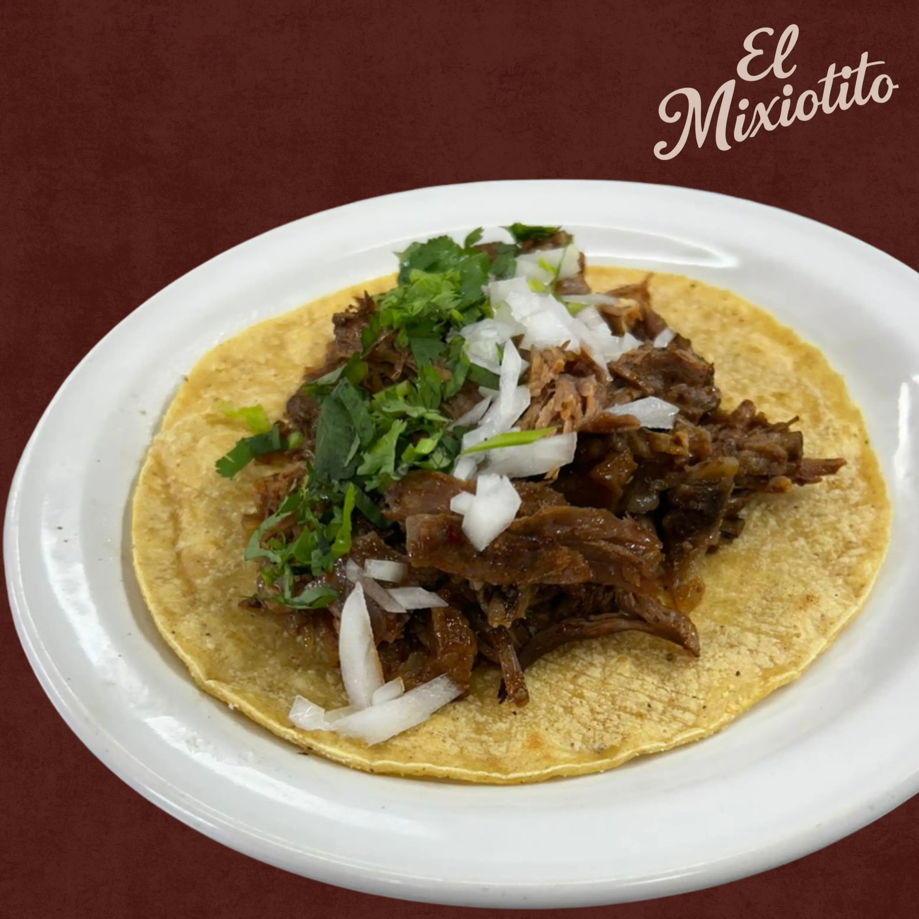 Taco de Birria