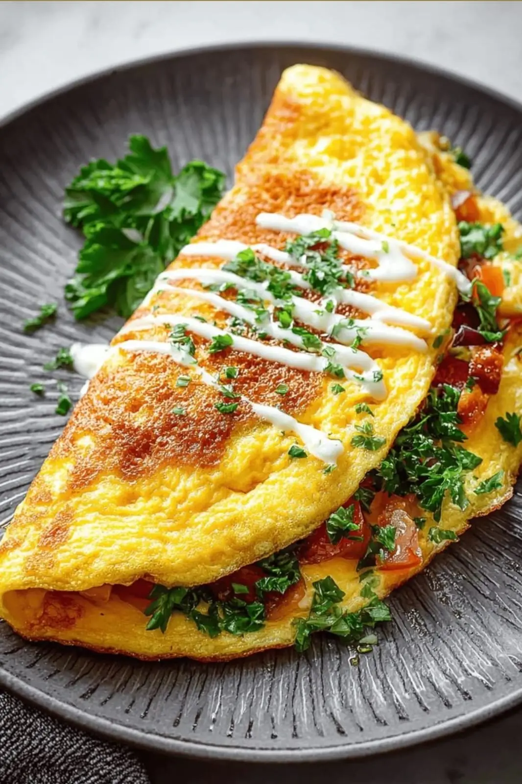 Omelet