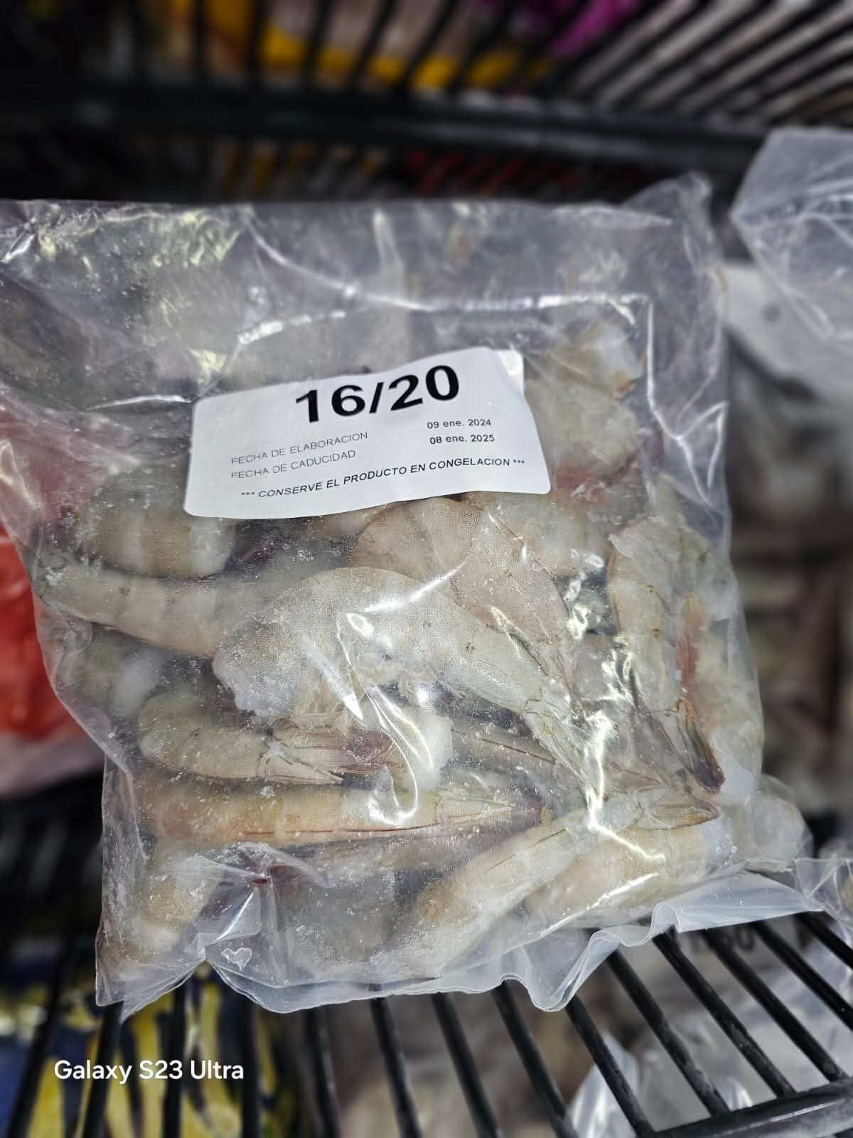 Camarón crudo