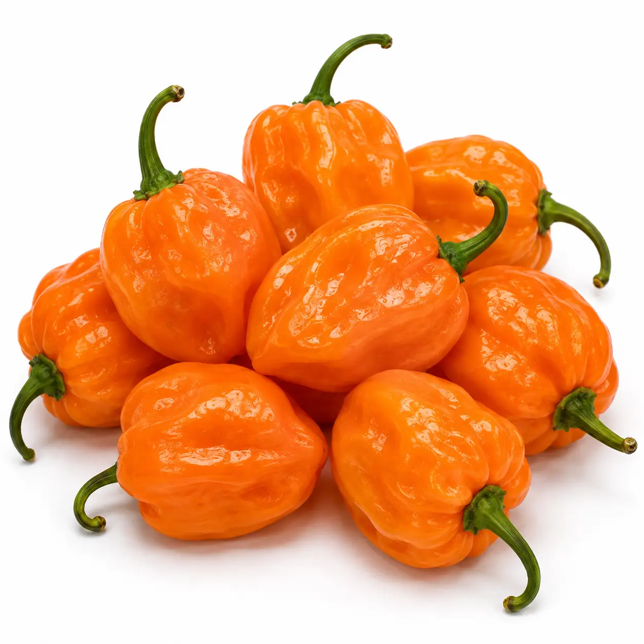 Chile Habanero Kg