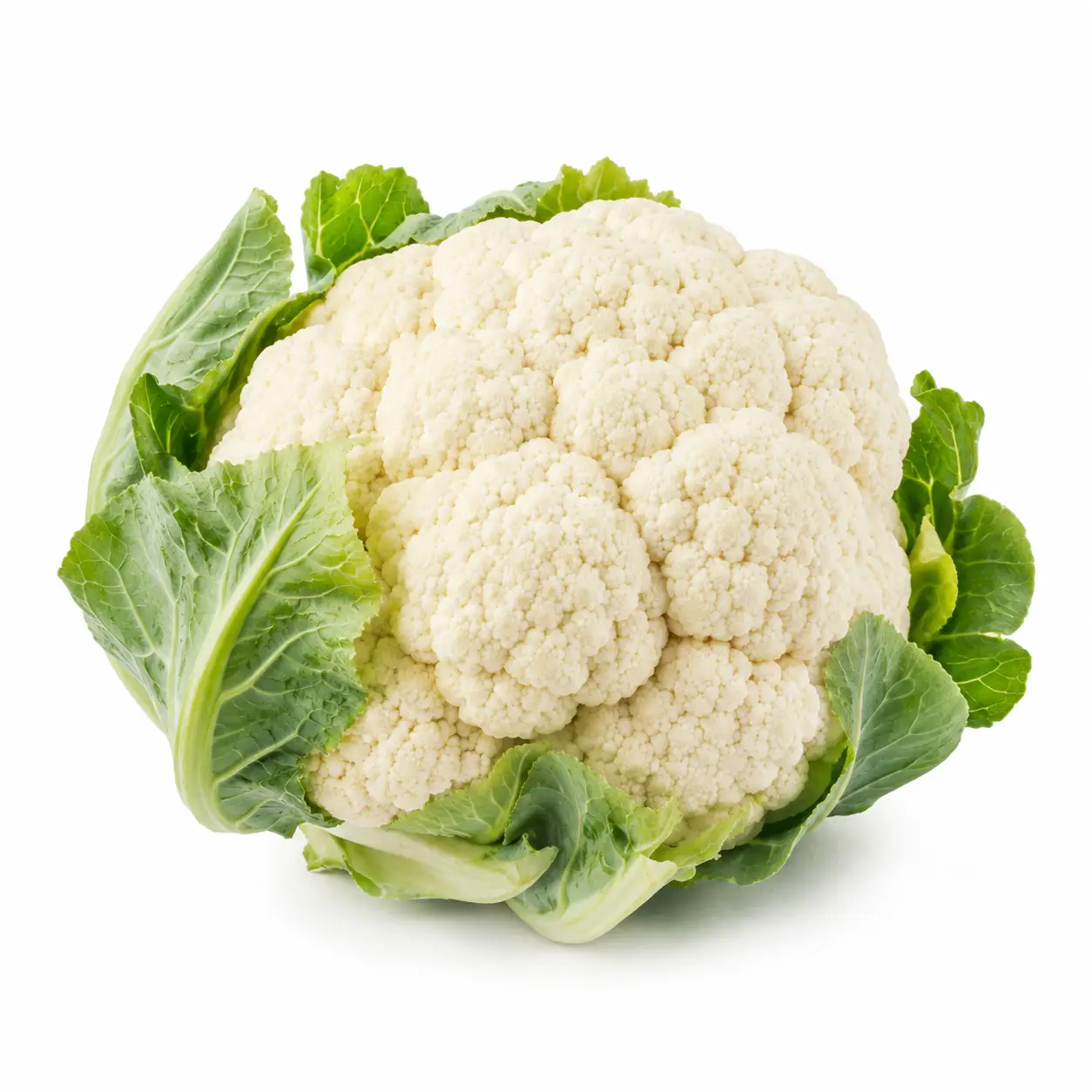 Coliflor Pz