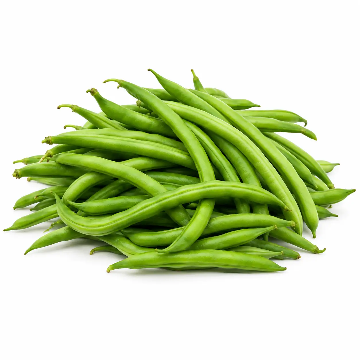 Ejote Kg