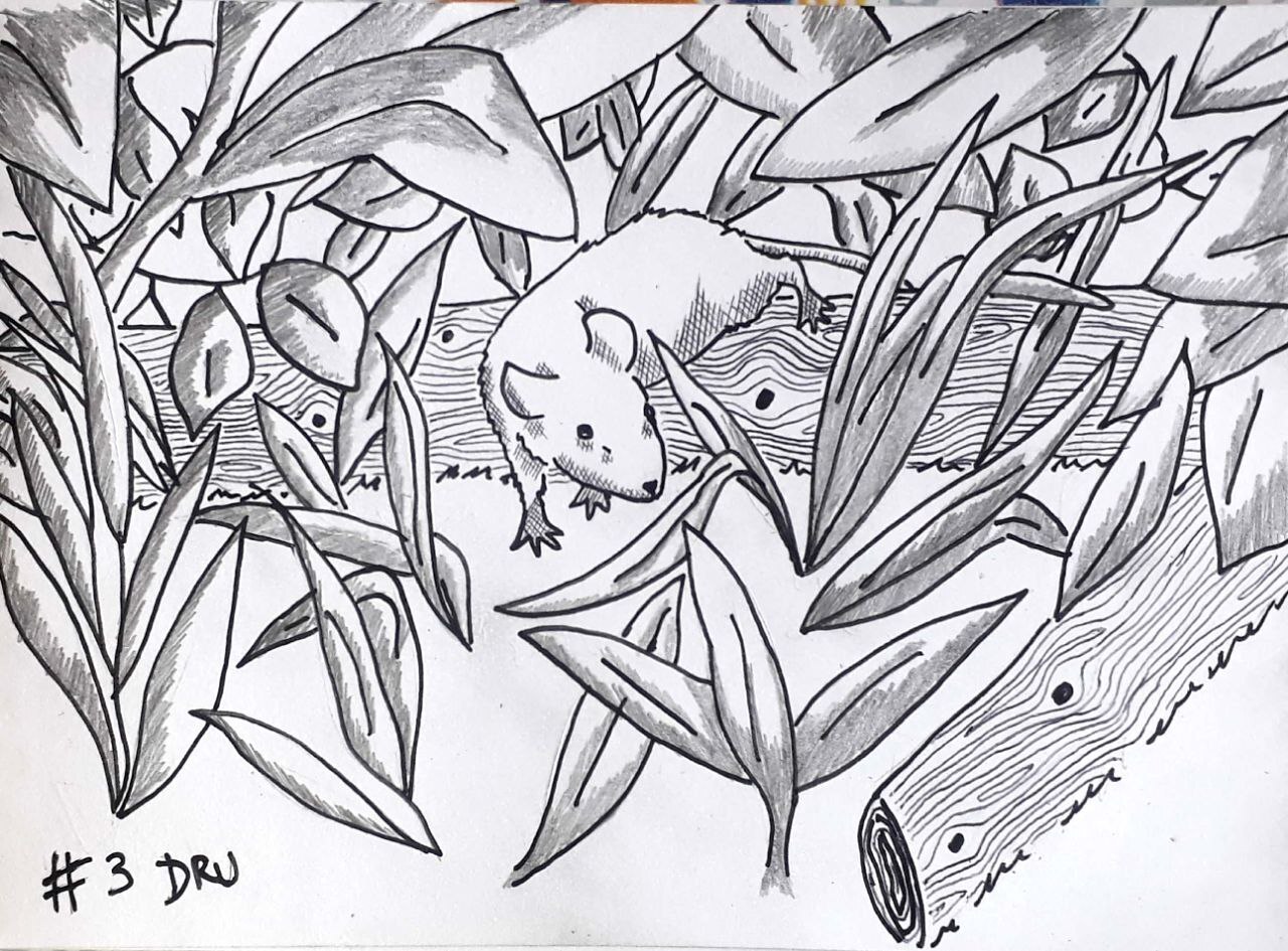 The image uploaded by mag on day 3