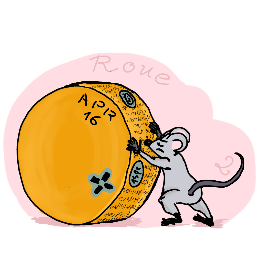 The image uploaded by licia on day 2