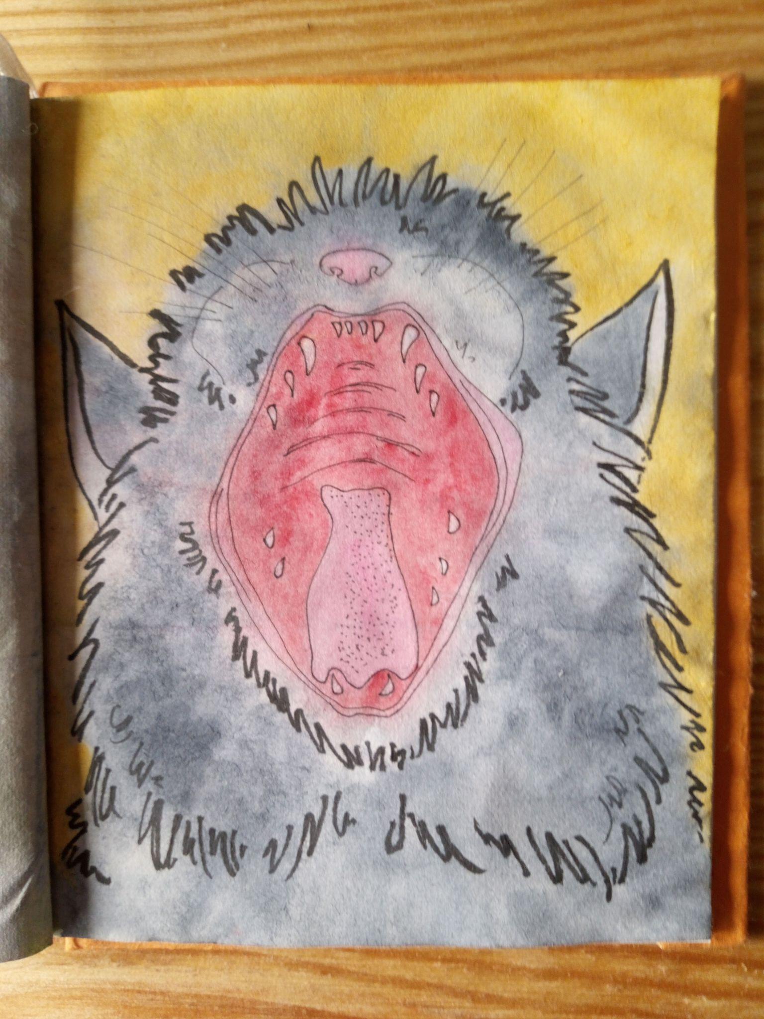 The image uploaded by marie on day 22