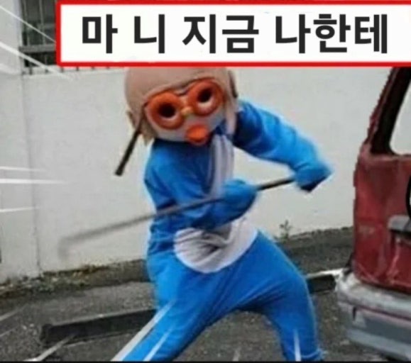 첨부 이미지