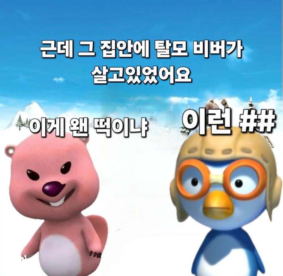 댓글 첨부 이미지
