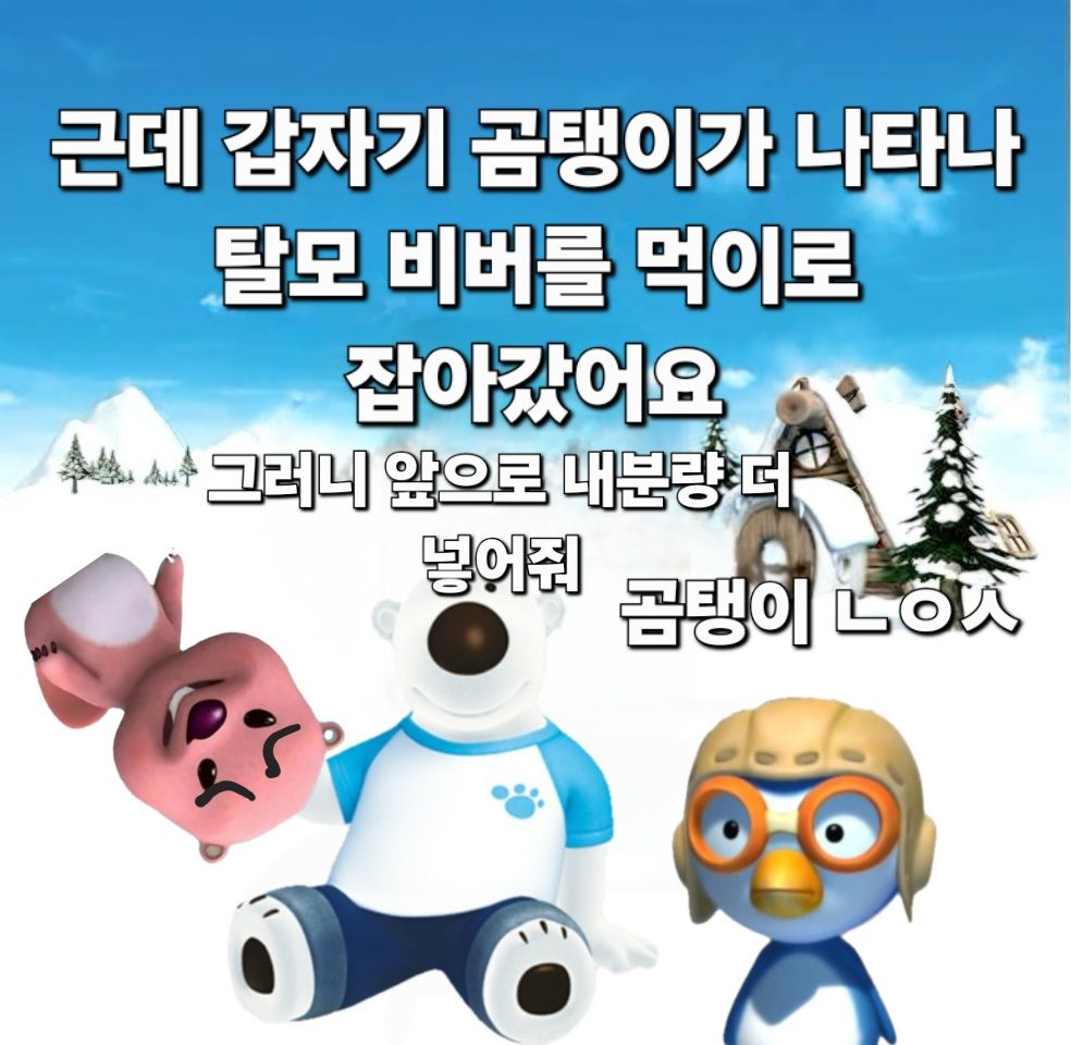 댓글 첨부 이미지