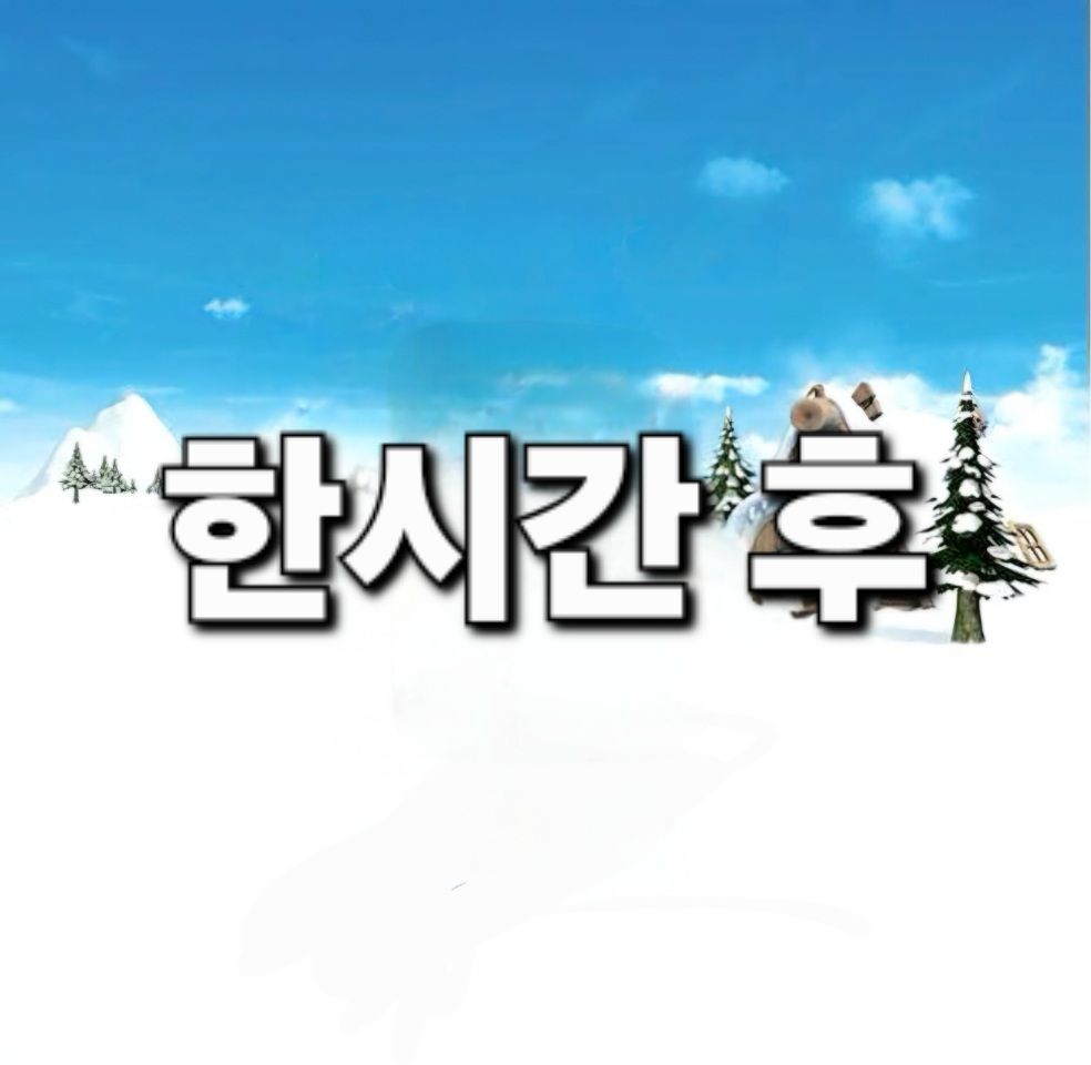 댓글 첨부 이미지