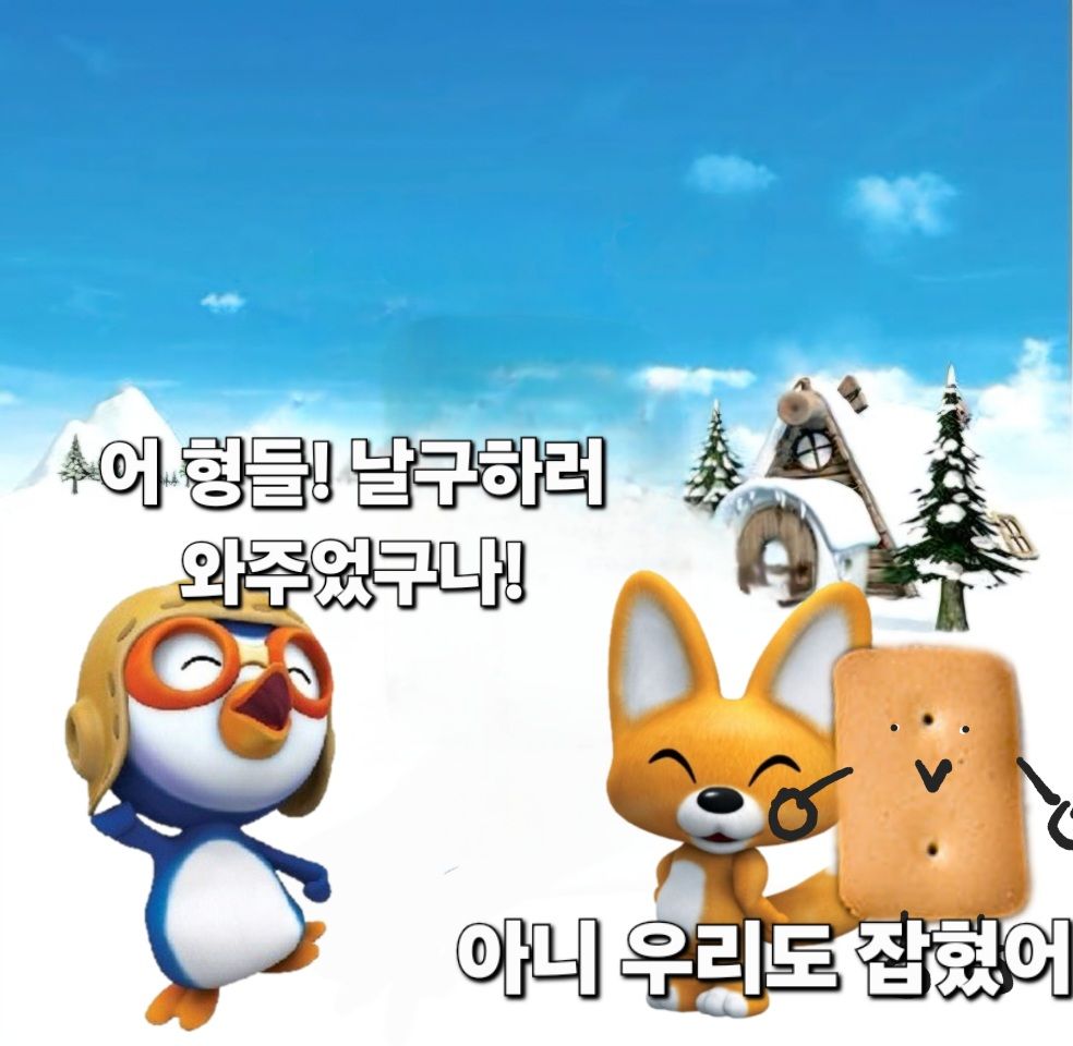 댓글 첨부 이미지