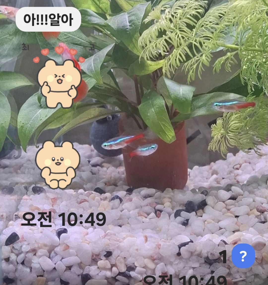 첨부 이미지