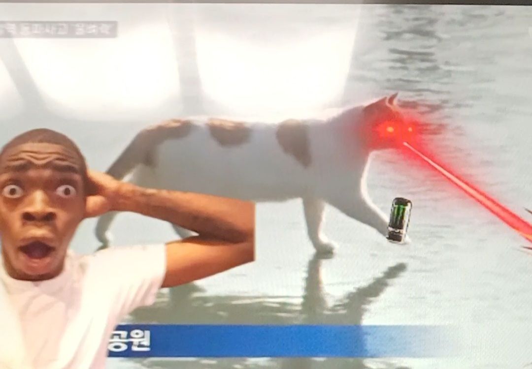 첨부 이미지