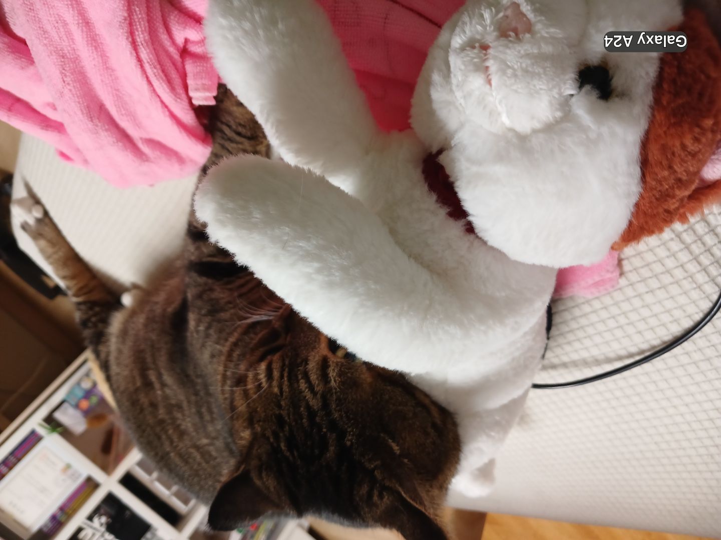 댓글 첨부 이미지