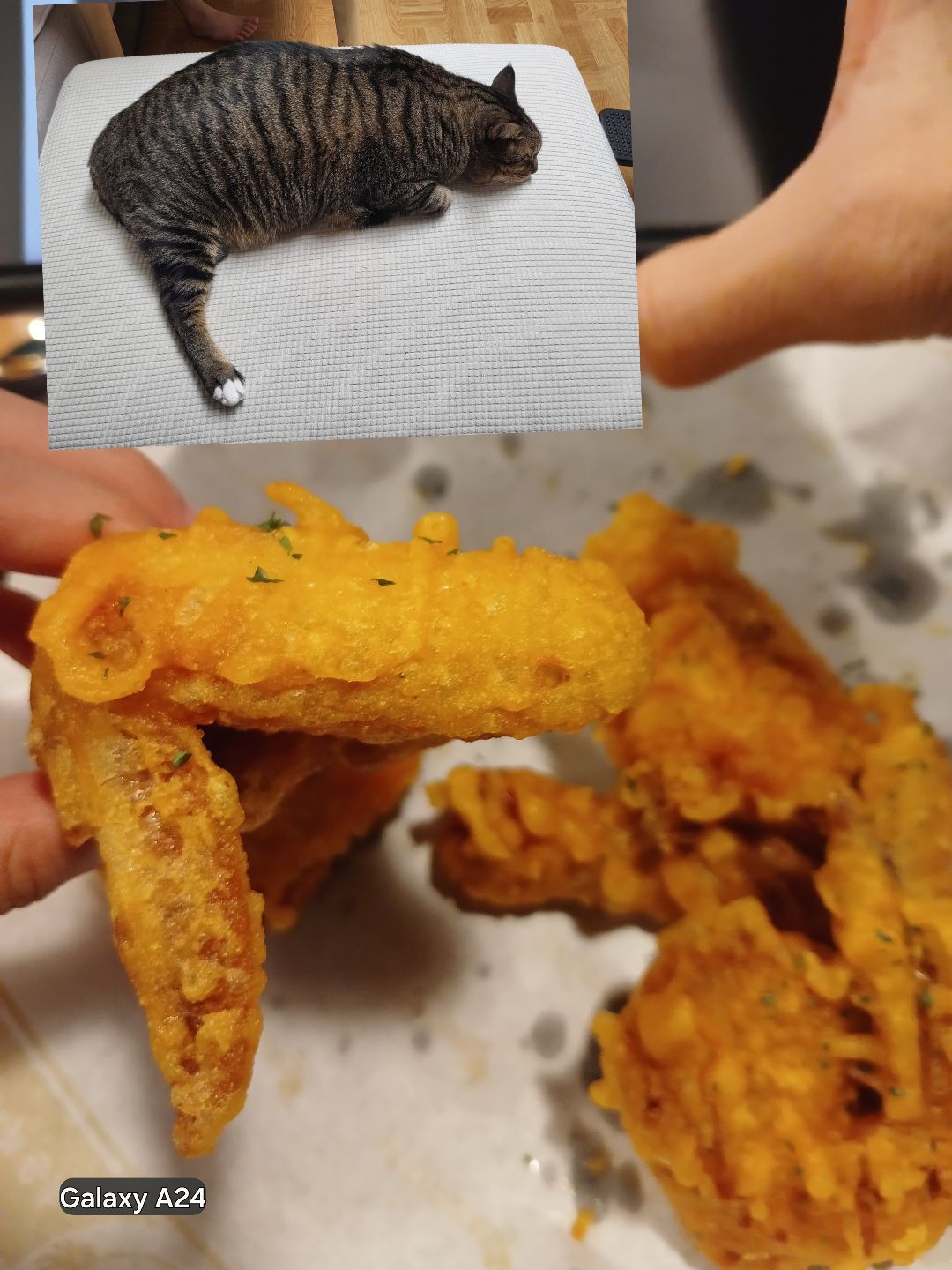 첨부 이미지