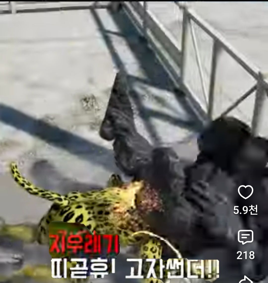 첨부 이미지