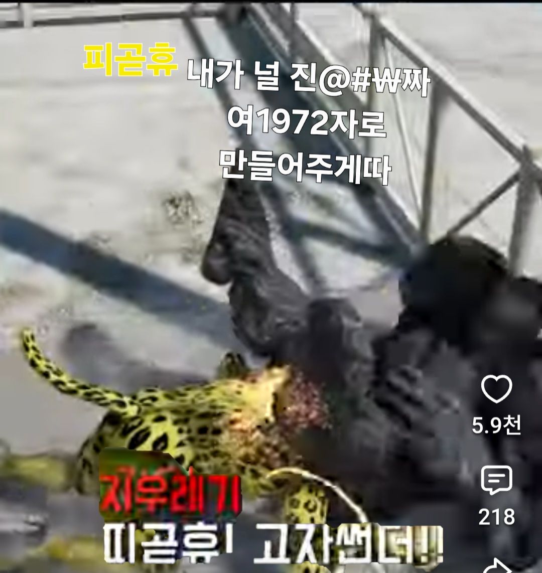 첨부 이미지