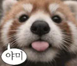 첨부 이미지