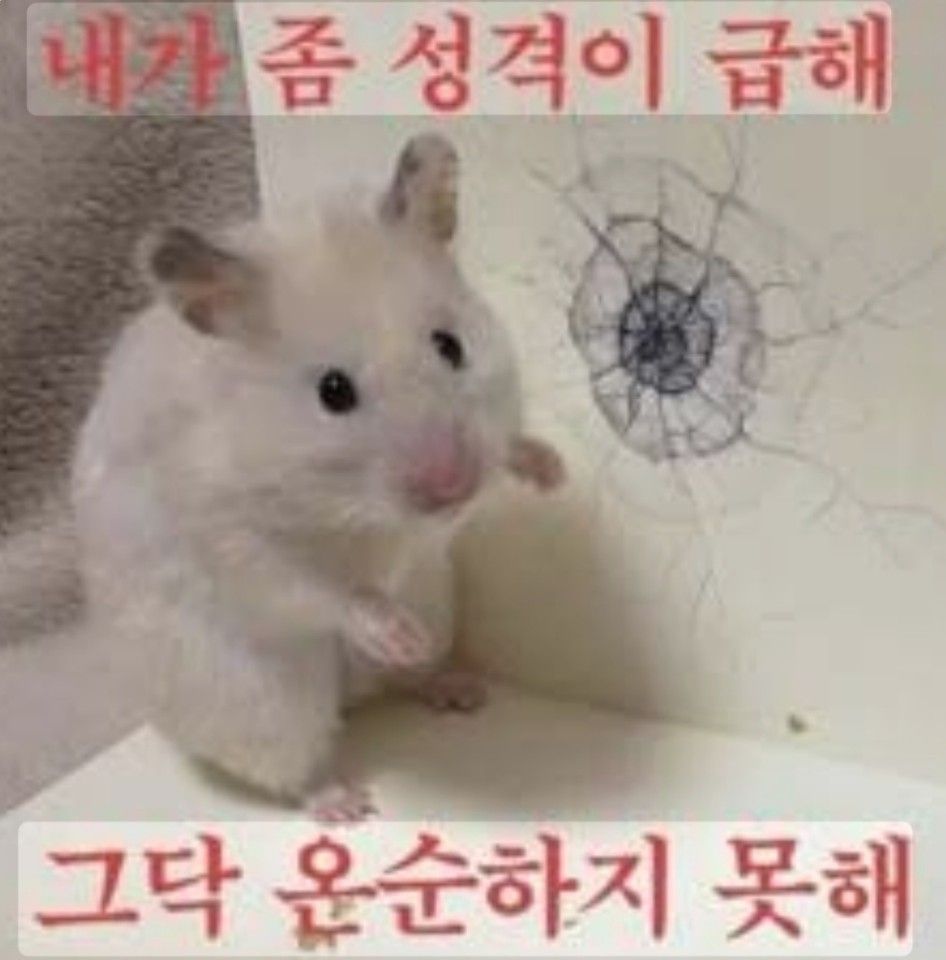 첨부 이미지