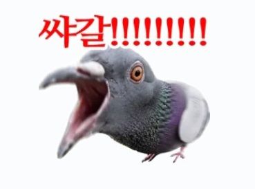 첨부 이미지