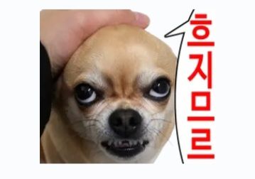 댓글 첨부 이미지