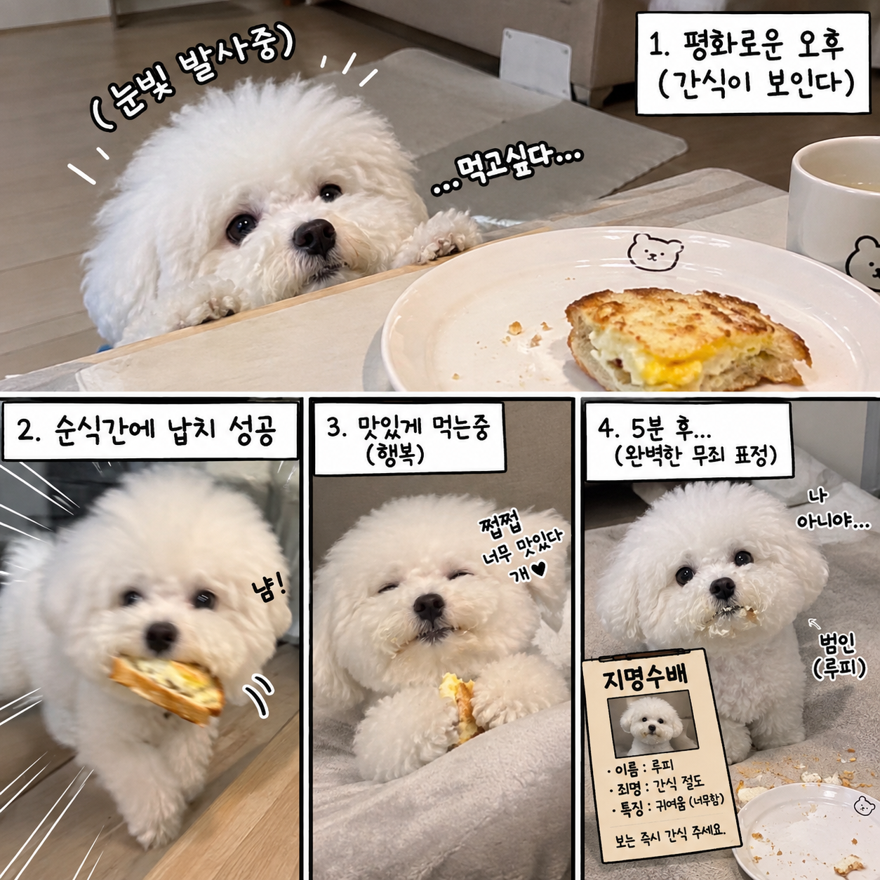 첨부 이미지