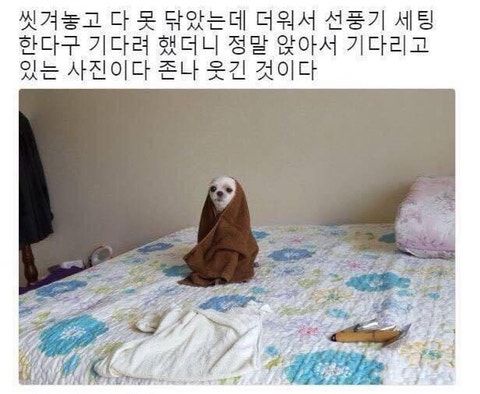 첨부 이미지