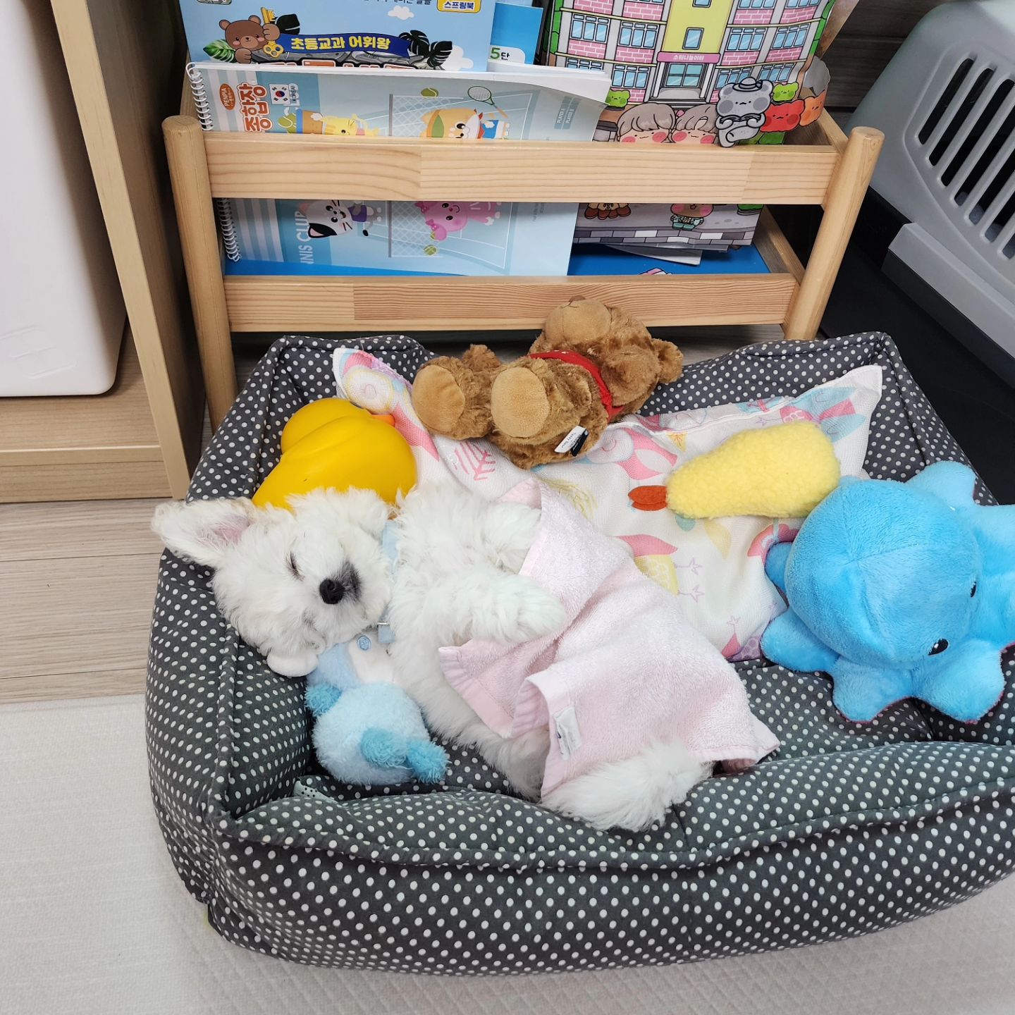 첨부 이미지