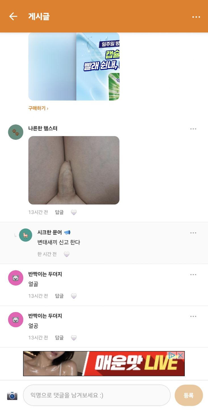 댓글 첨부 이미지