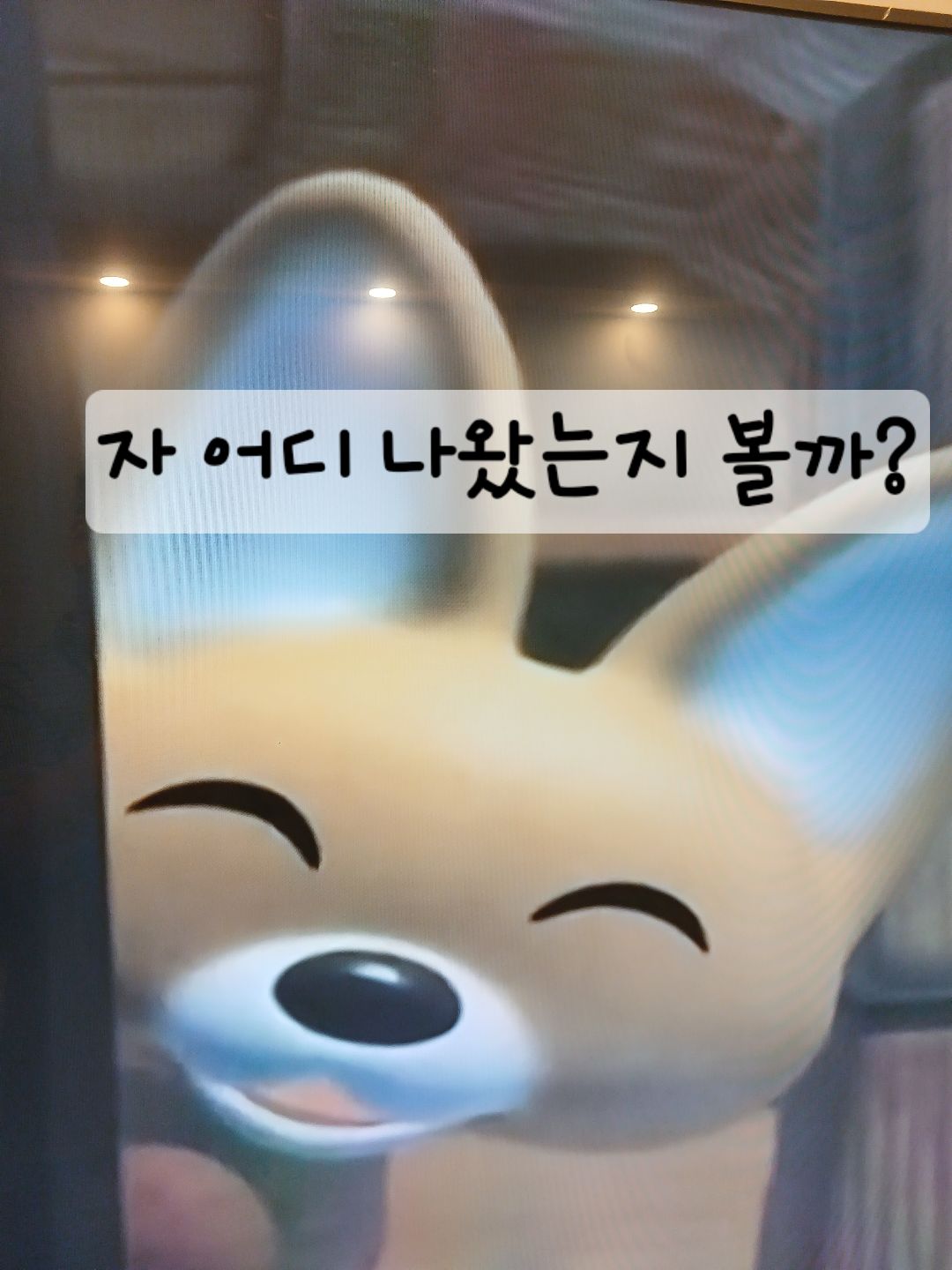 첨부 이미지