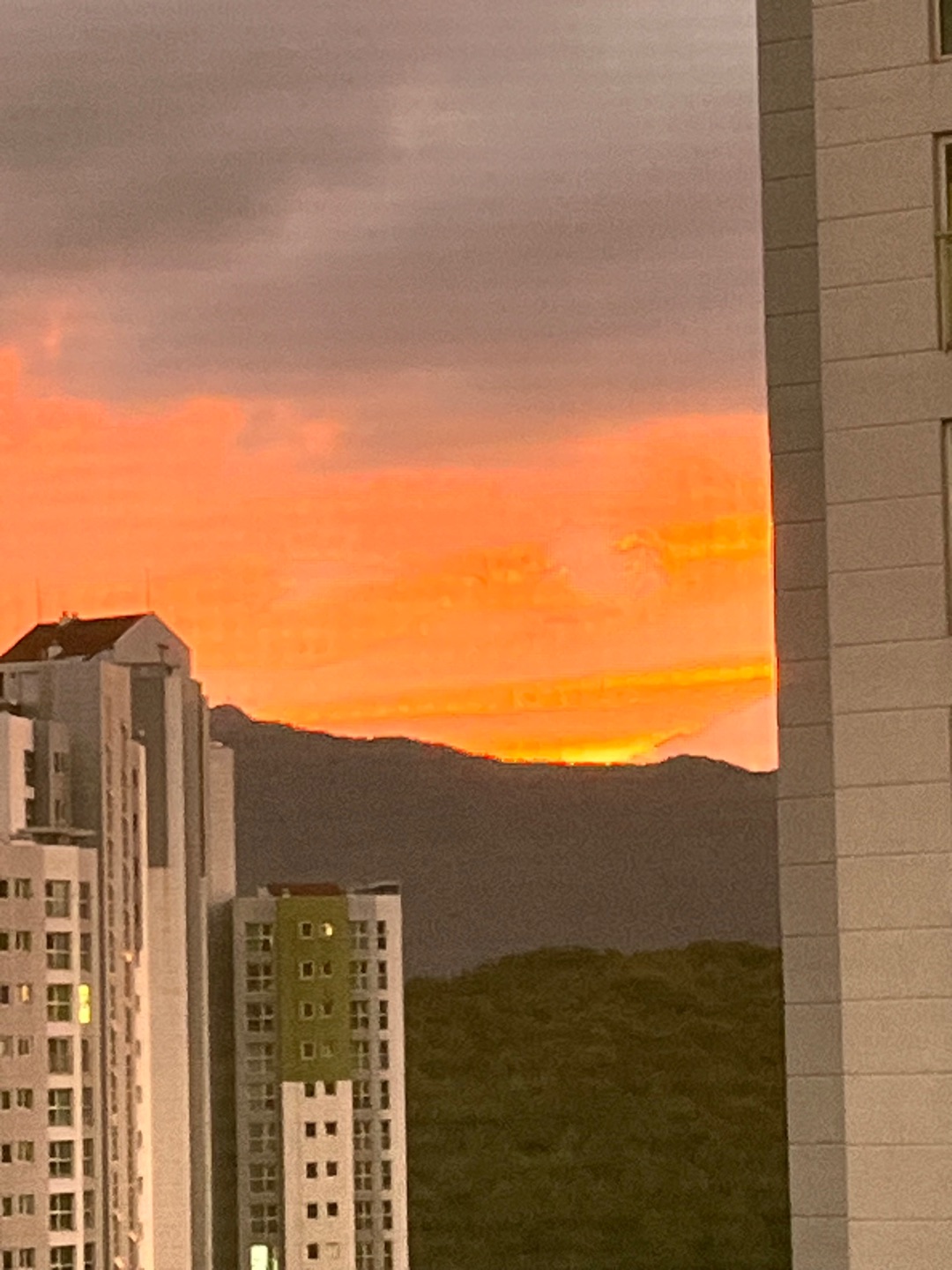 첨부 이미지