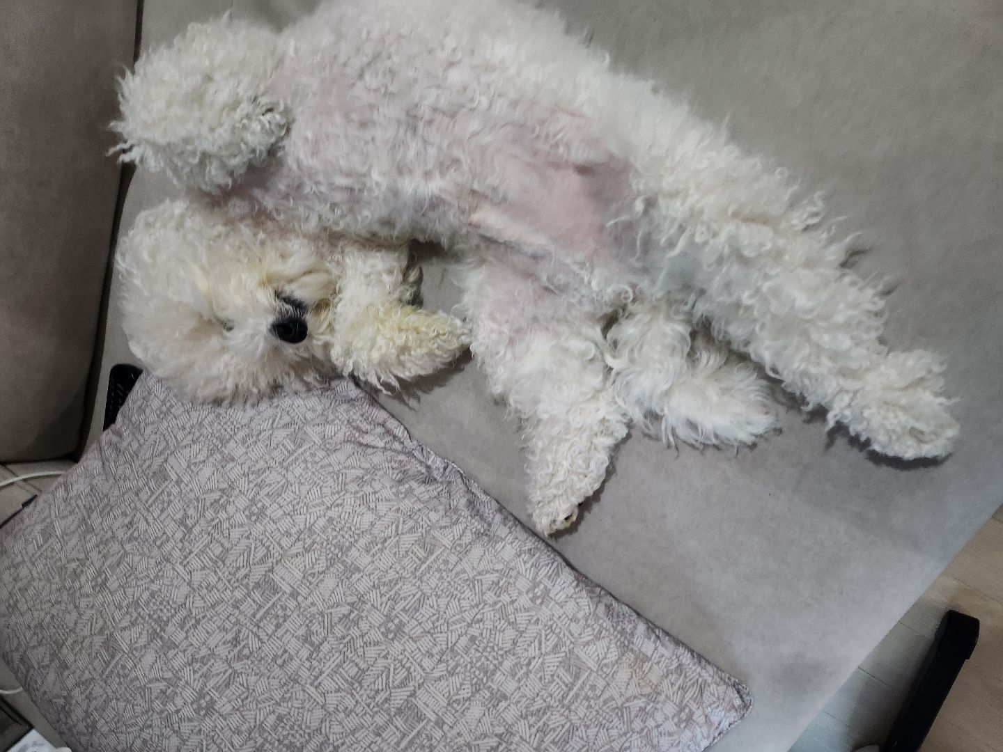첨부 이미지