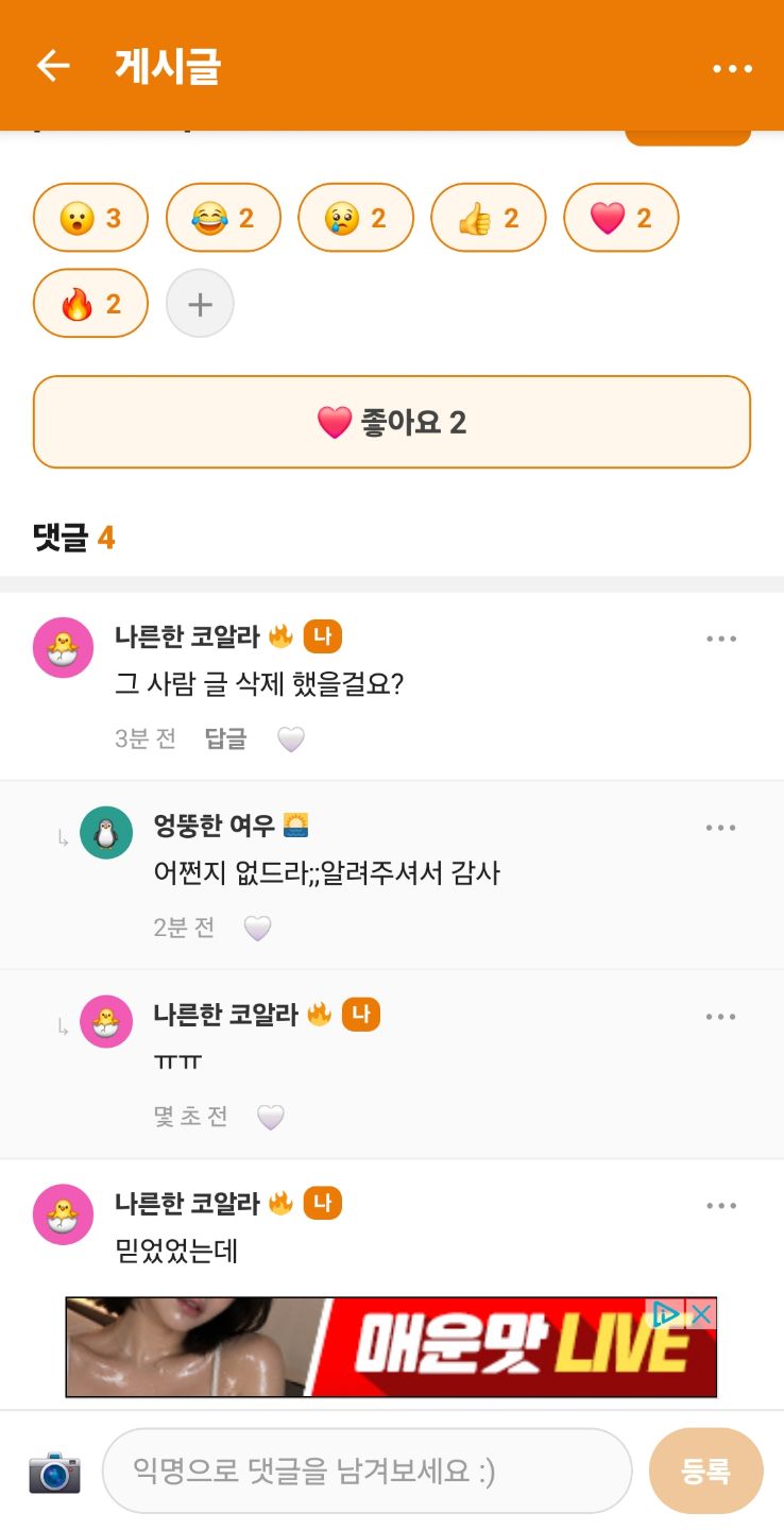 댓글 첨부 이미지