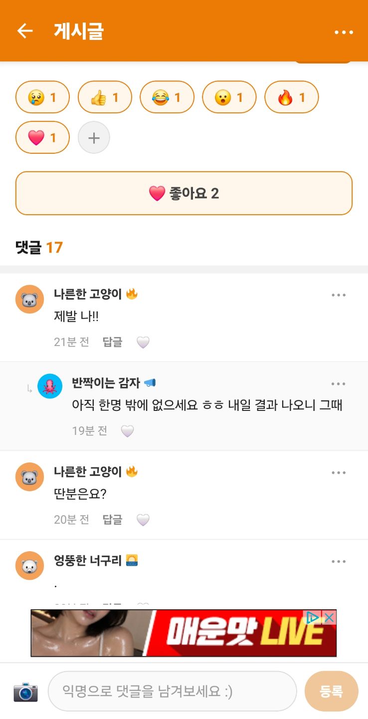 댓글 첨부 이미지