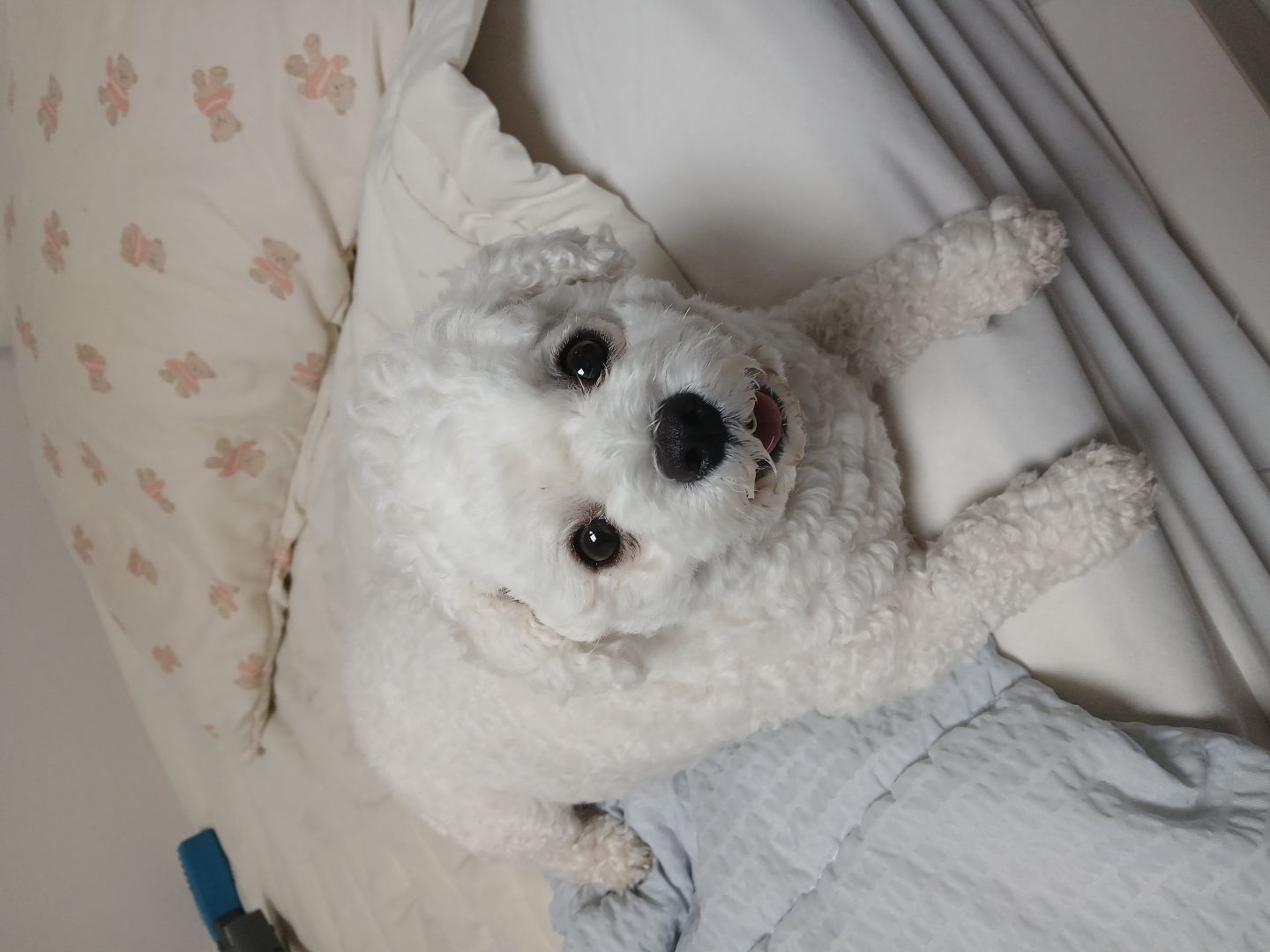 첨부 이미지