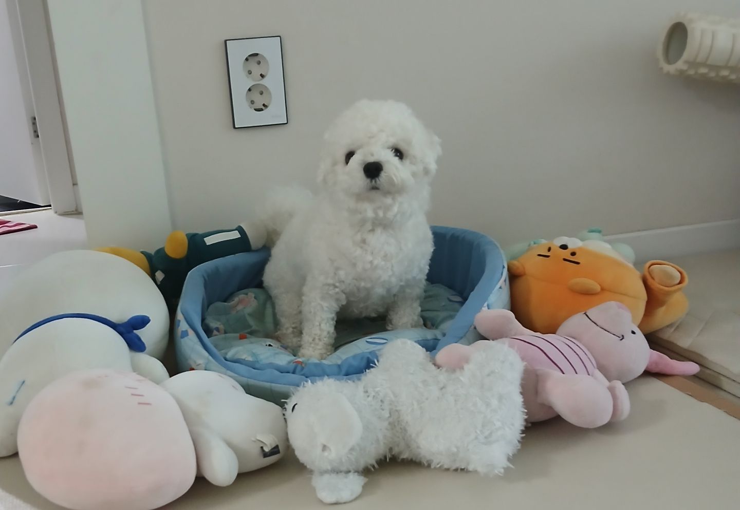 첨부 이미지