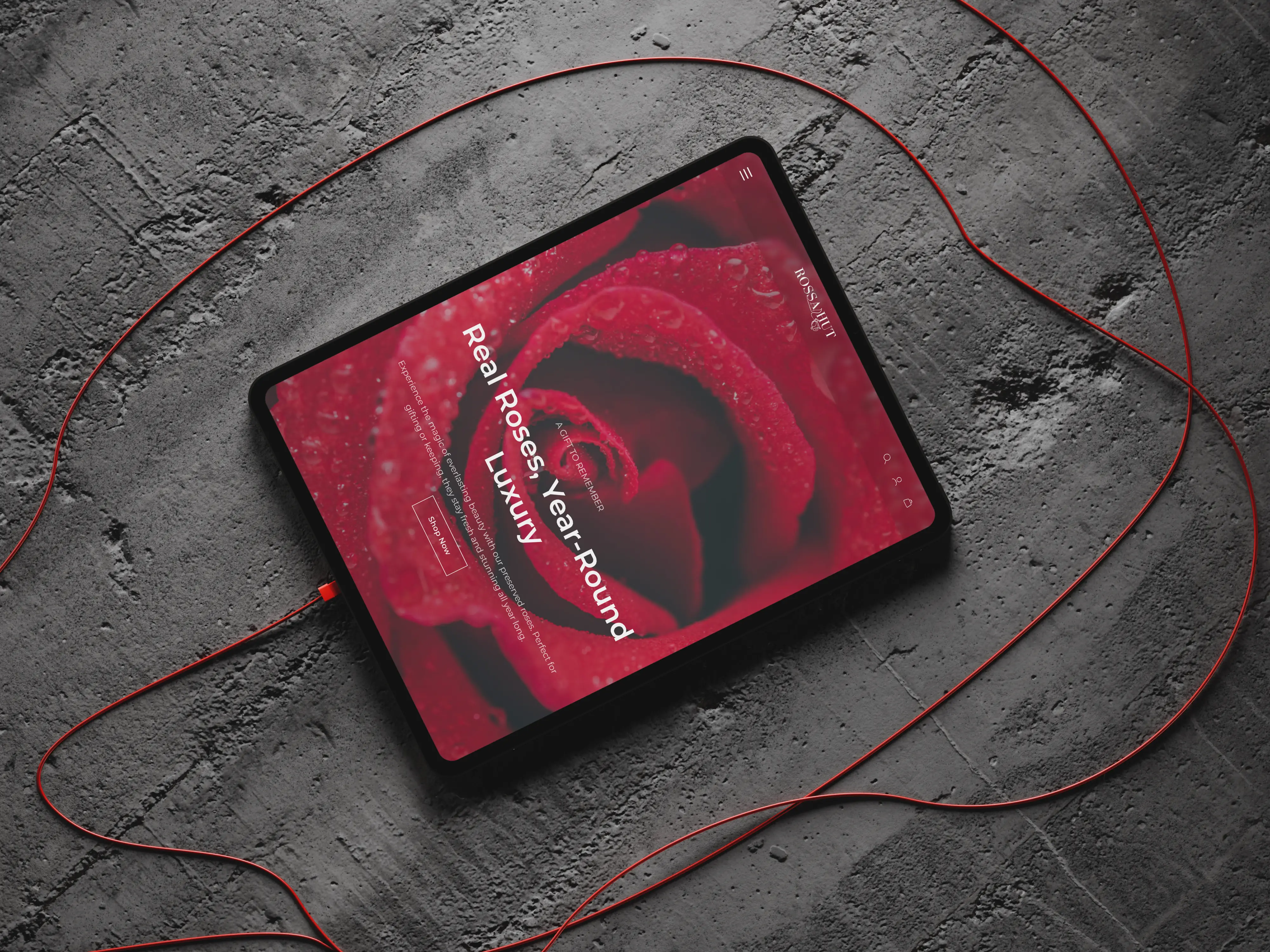 Tablet View