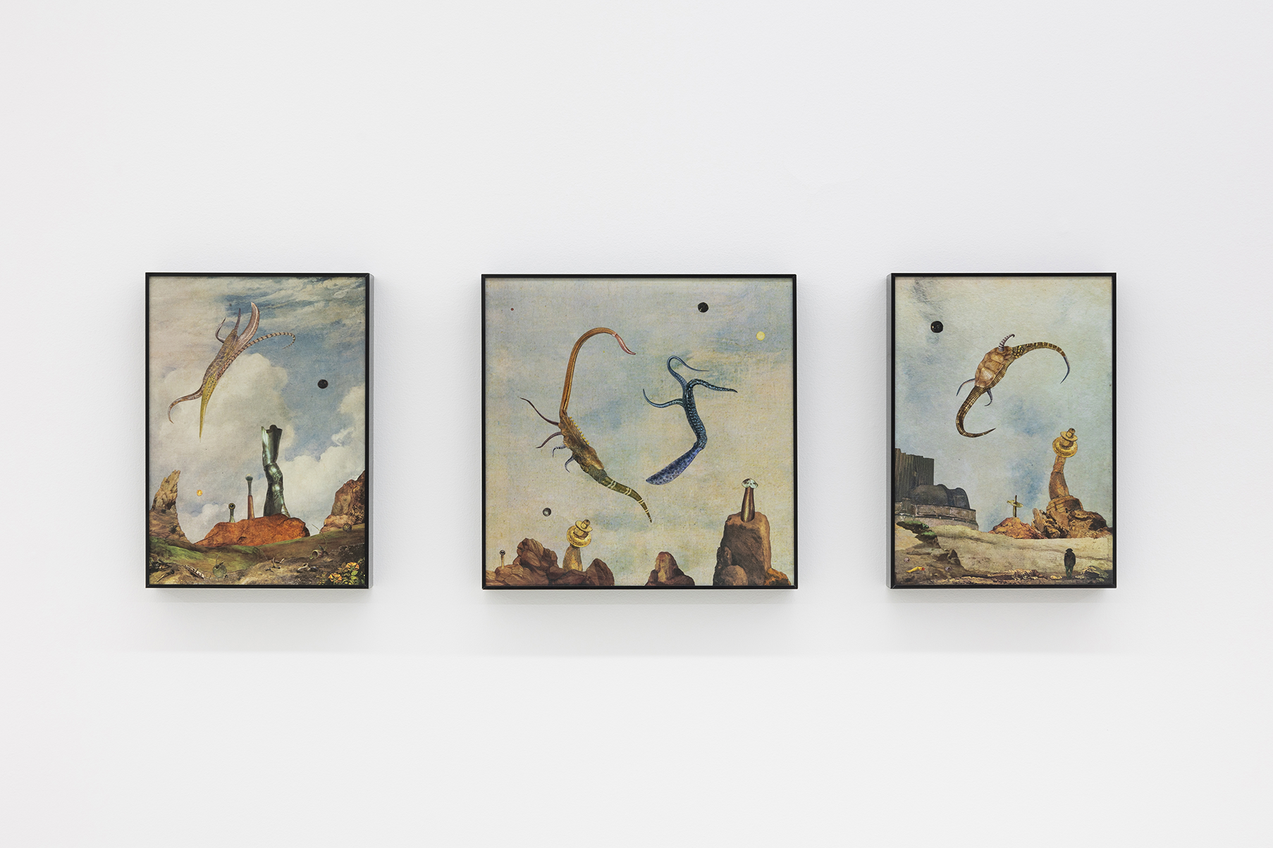 Syameaz, Danza Ondulante & El Cangrejo