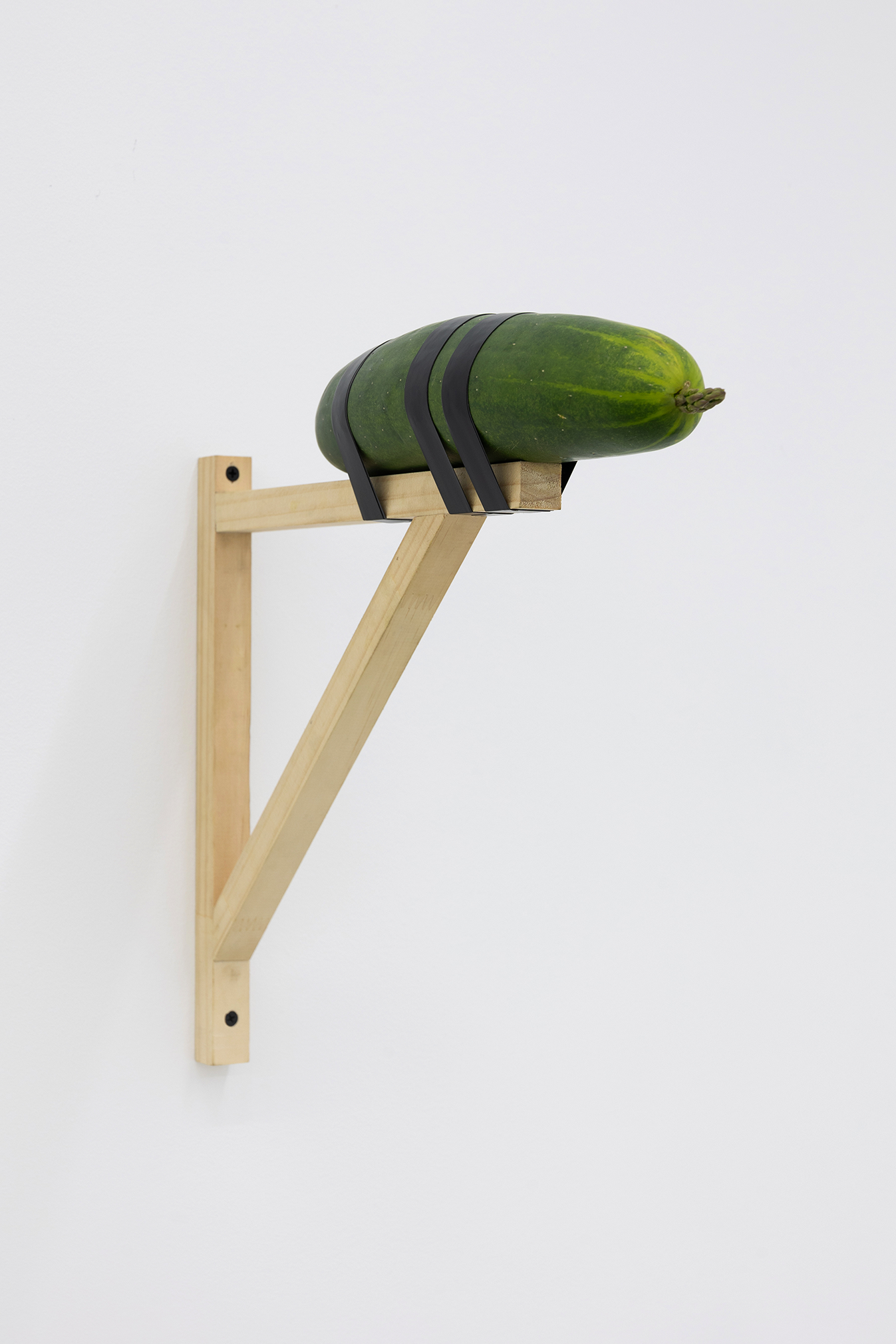 Cucumber Aspargus