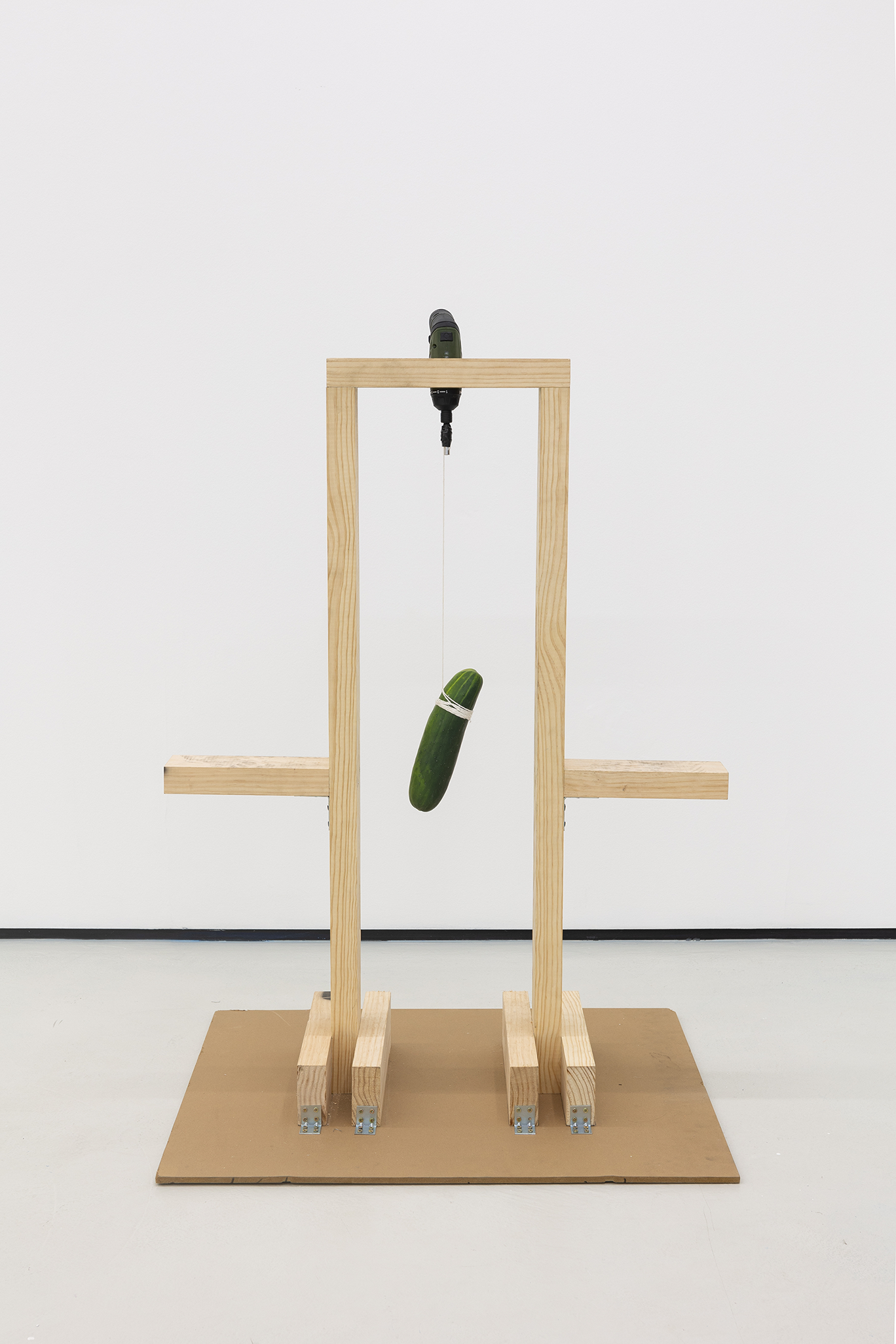 Elevated Cucumber Spinner