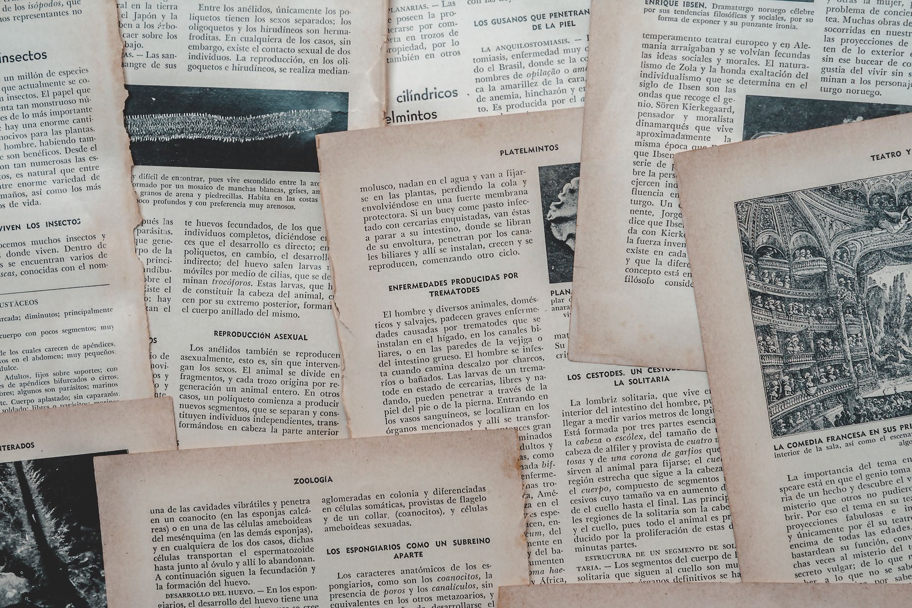Printed HSE Docs