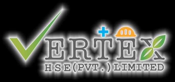 Vertex HSE Services
