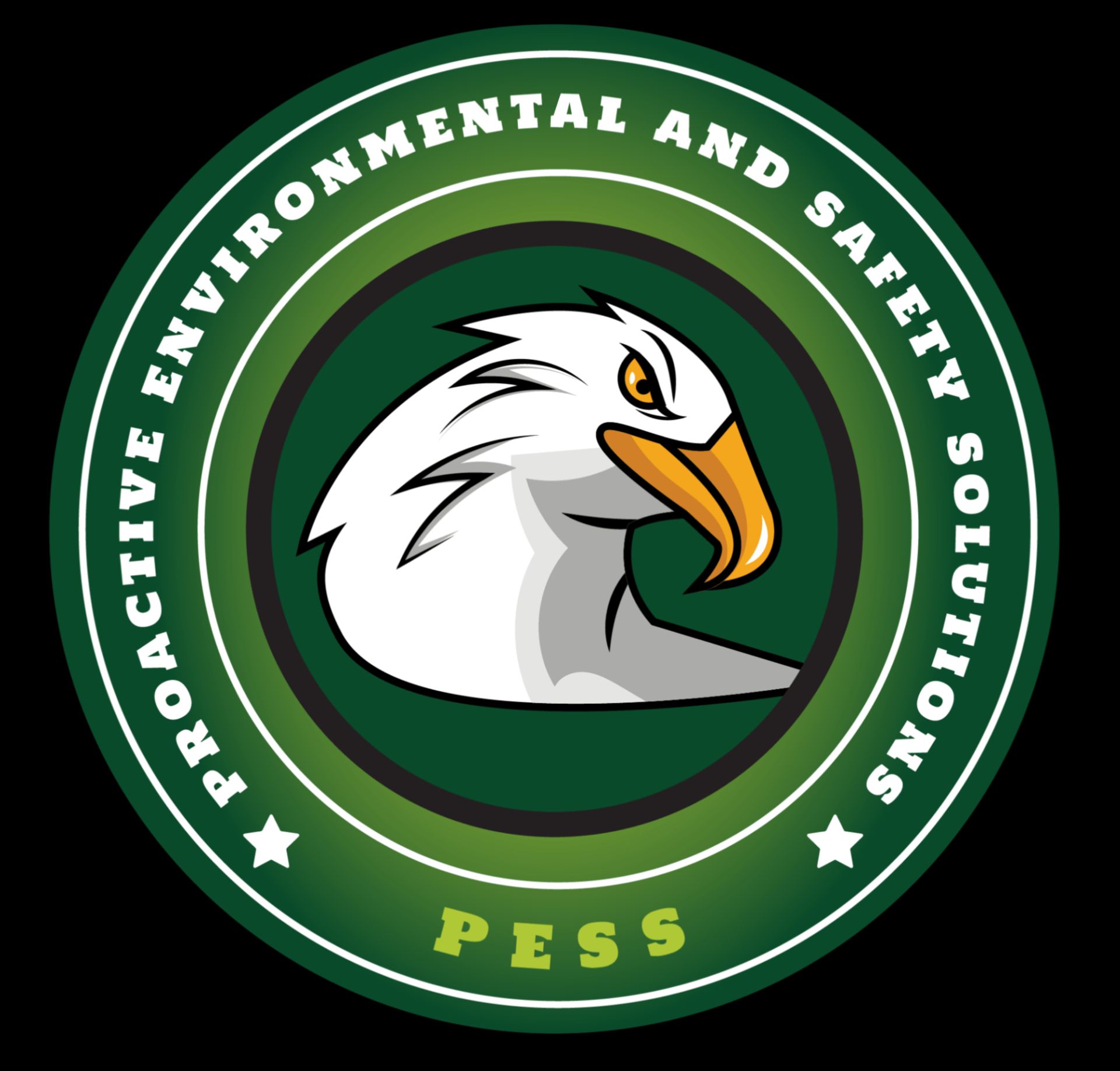 Proactive Environmental and Safety Solutions (SMC-Pvt) Ltd. (PESS)