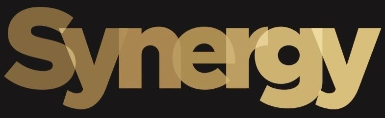 Synergy Business Services LLC.