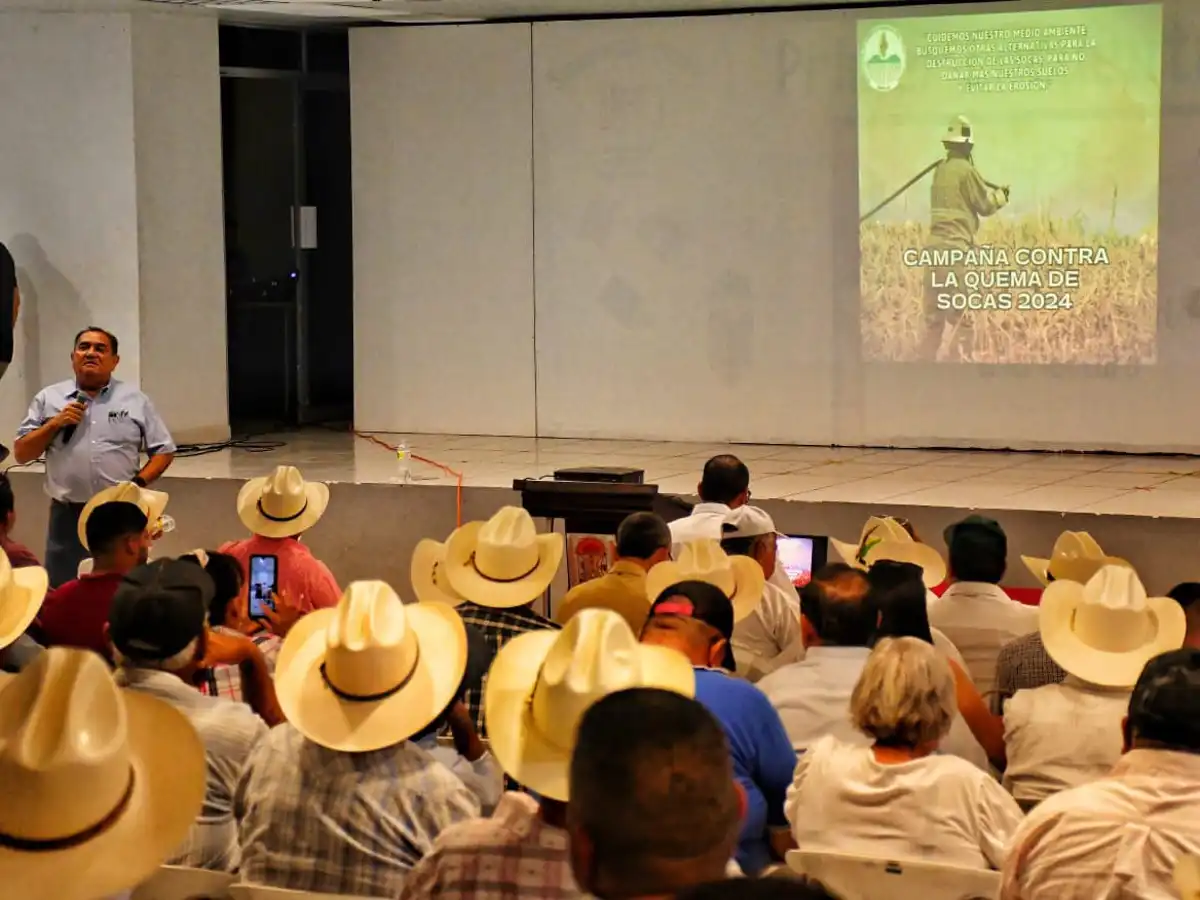 Angostura va con todo en contra de la quema de soca